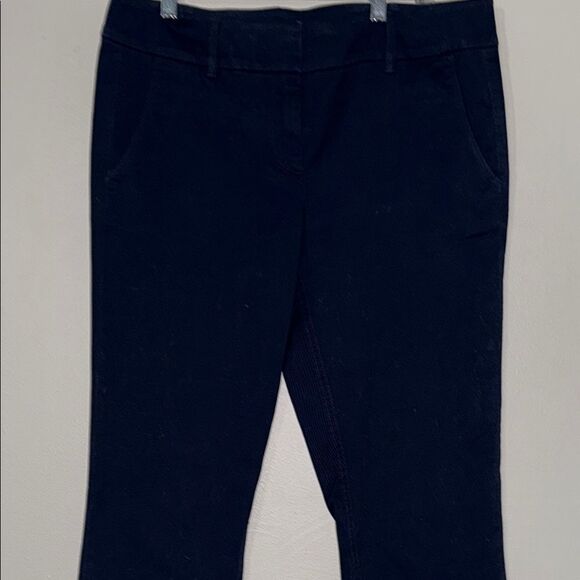 LOFT Navy Blue Modern Cropped Chinos - Picture 4 of 11